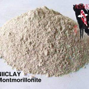ASAKA NIICLAY Montmorillonite 500g